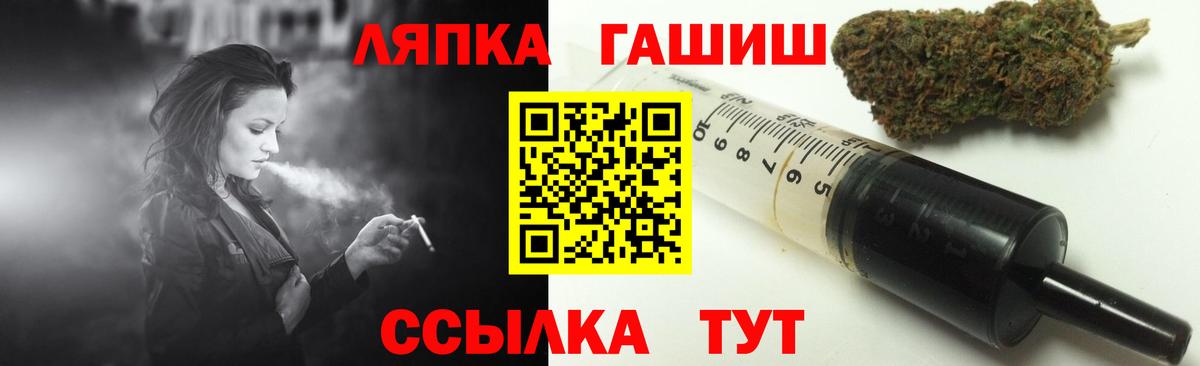 ГАШ Изолятор  Вход с VPN  ГАШ Premium  Сосновый Бор 