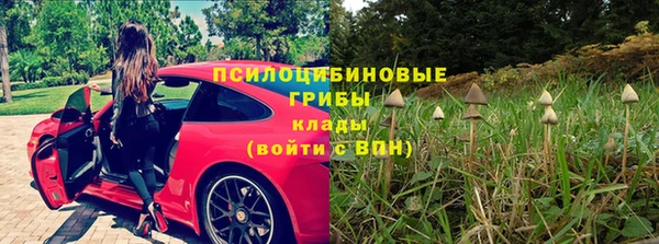 синтетический гашиш Пролетарск