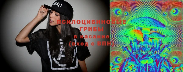 тгк Курчалой