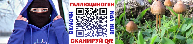 Псилоцибиновые грибы MAGIC MUSHROOMS  Сосновый Бор 