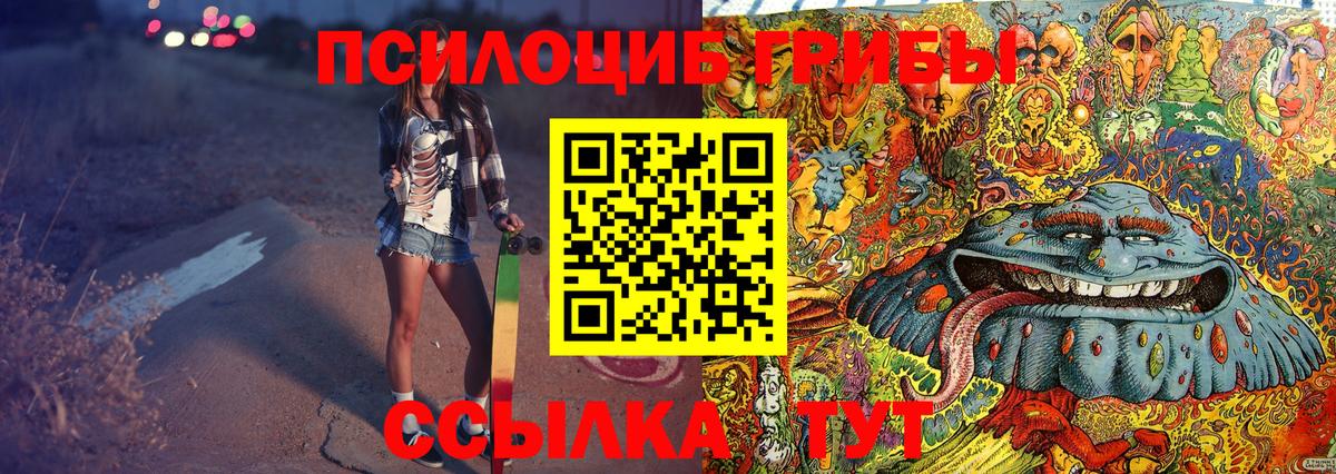 Псилоцибиновые грибы ЛСД  Сосновый Бор  Псилоцибиновые грибы Psilocybine cubensis 