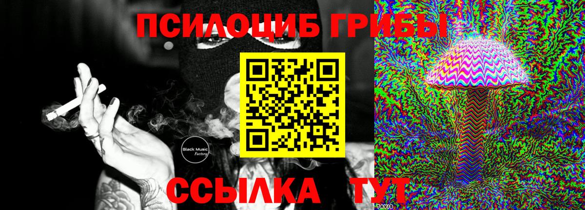 Псилоцибиновые грибы мухоморы Сосновый Бор