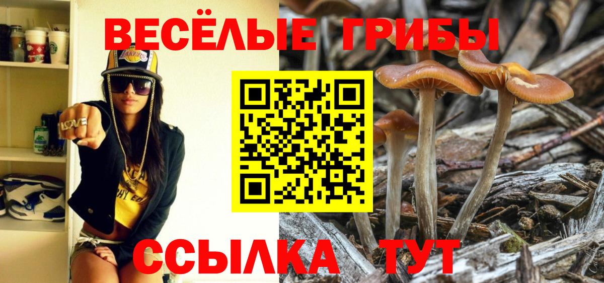 Галлюциногенные грибы прущие грибы Сосновый Бор