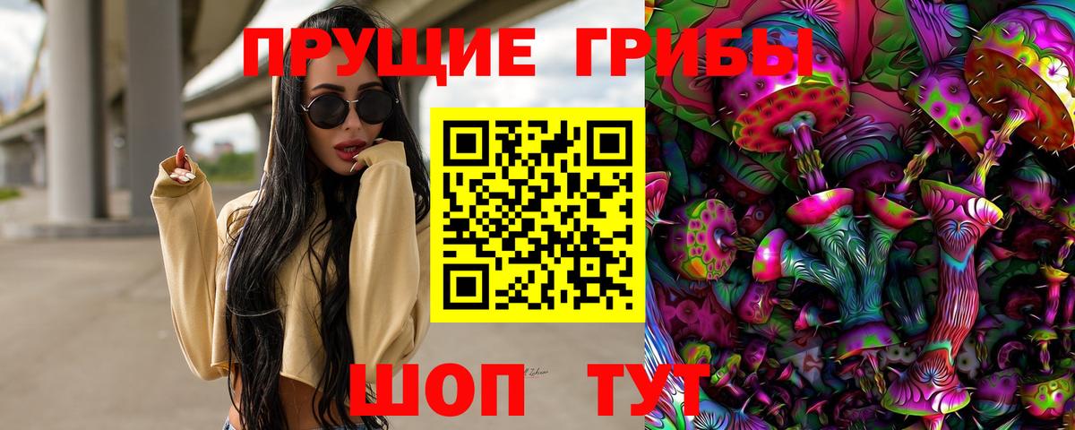 Сосновый Бор  Галлюциногенные грибы Magic Shrooms  Псилоцибиновые грибы прущие грибы  купить  сайты  Вход с VPN 