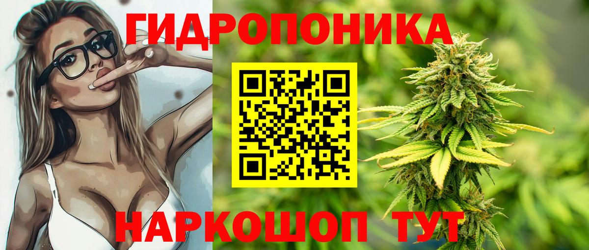 Каннабис THC 21% Сосновый Бор