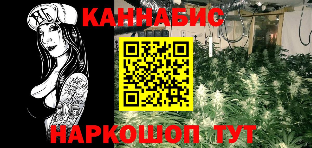 Каннабис ГИДРОПОН  МАРИХУАНА тримм  Сосновый Бор  Конопля White Widow 